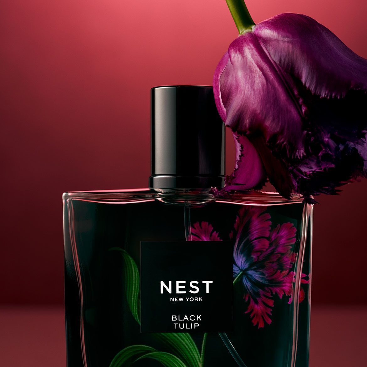 Een vierkant, helder glazen flesje Nest New York Black Tulip parfum staat naast een donkerpaarse tulp tegen een rode achtergrond.