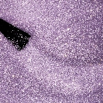 485 - TWINKLEPLUM LILAC