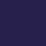 13 - PEARLY VIOLET