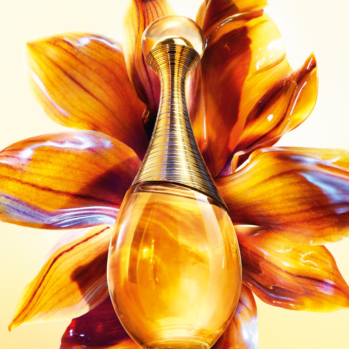 555606_DGLS_JADORE_Highlight_Teaser_V1_1170x1170px (1).jpg