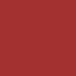 599 - RED ASTER