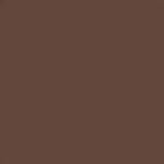 4.5 - Neutral Deep Brown - Travel Size