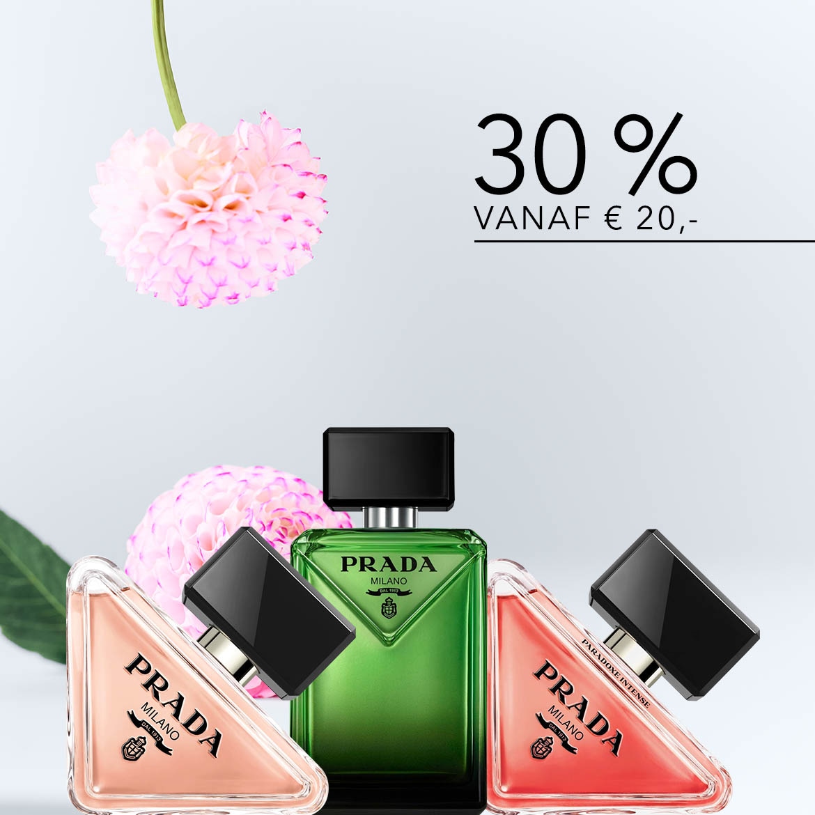 Brand Highlight BP-2026-03-31-Douglas Select Night - WK 16DG Select Night - 1170 x 1170 px-9.jpg