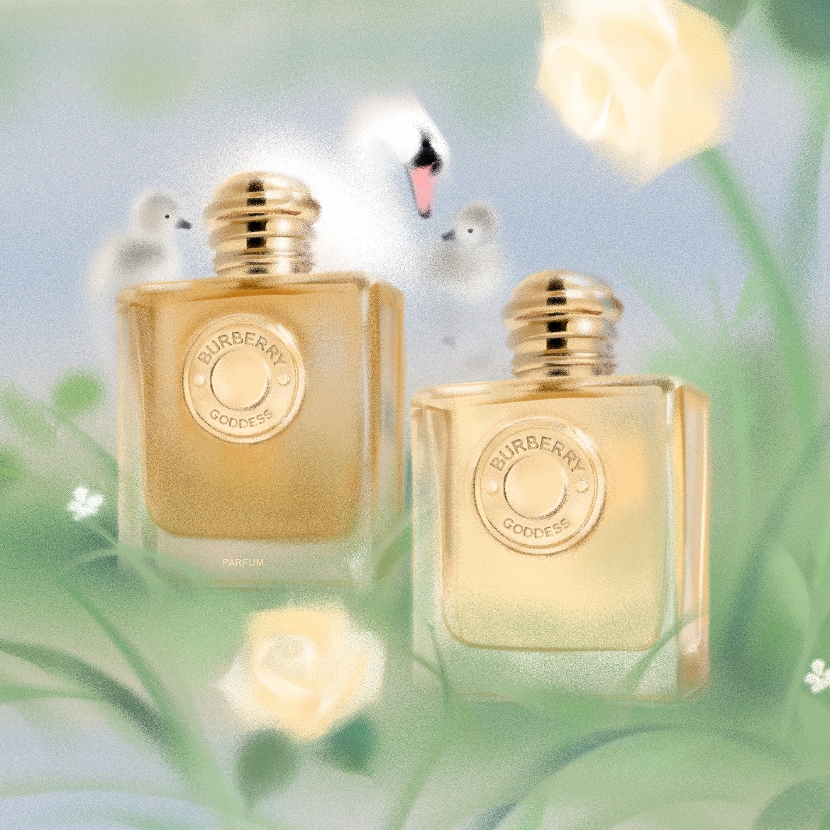 Twee vierkante gouden Burberry Goddess parfumflessen staan tussen witte rozen en een zwaan met kuikens op de achtergrond.