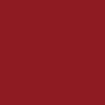 P21 CONFIDENT PINK