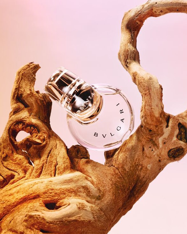 De heldere, ronde flacon Bvlgari Omnia Pink Sapphire Eau de Toilette rust op een stuk drijfhout, tegen een zachtroze achtergrond.