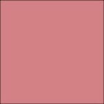 54 - ROSE FRISSON - Mini