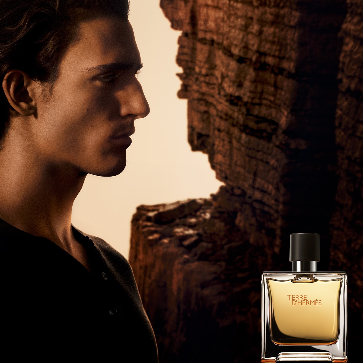 HERMES_TDH_BrandHighlight_1170x1170px_500Kb.jpg