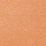 CARAMELIZED PEACH