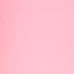 4 - BARE BLOSSOM