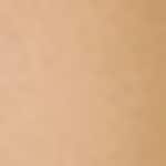 320 - Medium Tan Warm