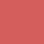 22 - PINK FLAMINGO