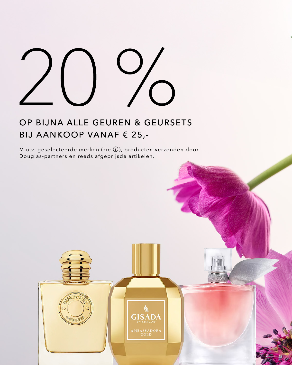 Reco Teaser - 1200 x 1500.jpg