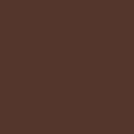 23 - WARM DARK BROWN