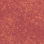 554 - MULTI- FACETED