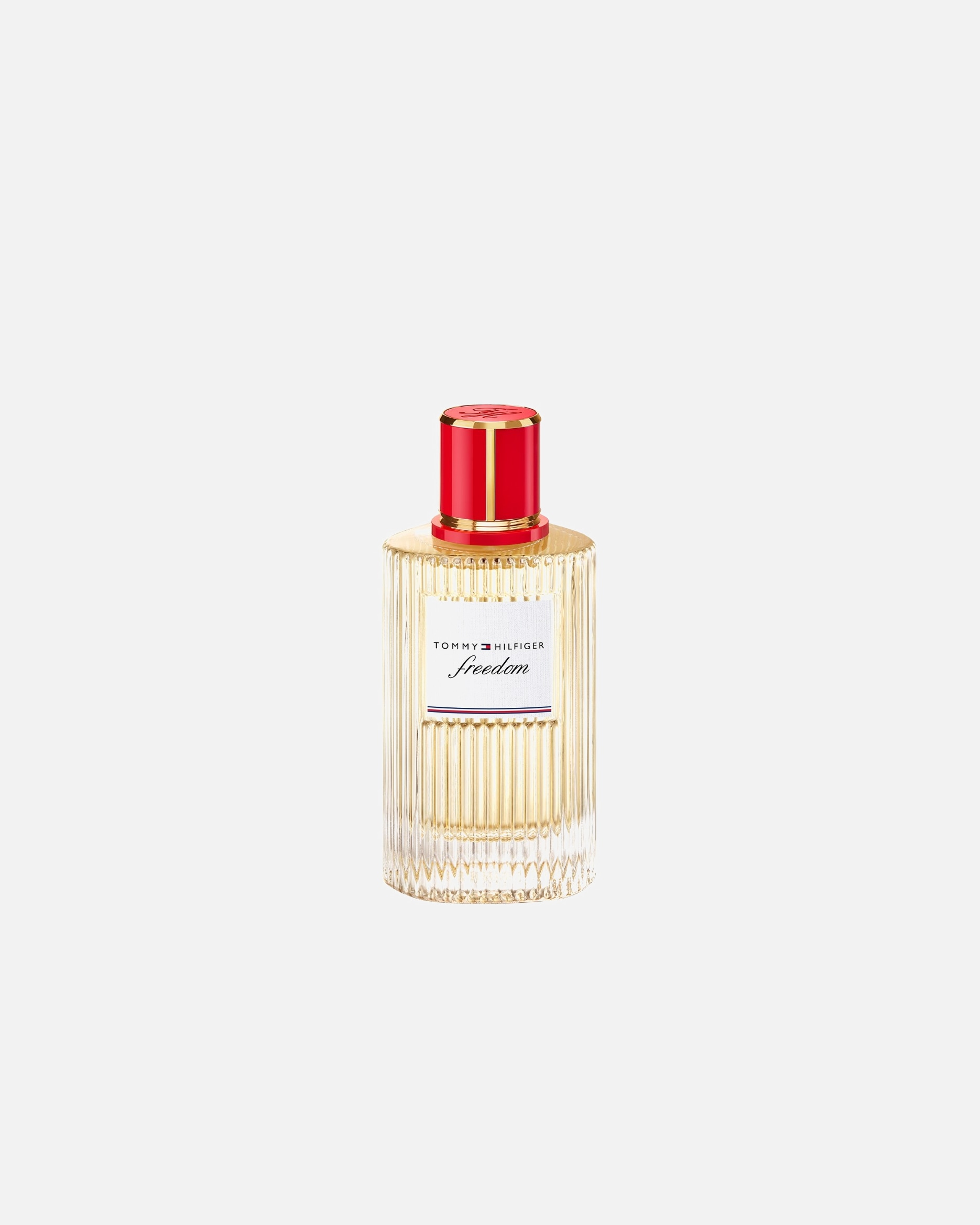 Eau de parfum voor Tommy HilfigerFreedomFreedom100 ml
