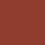 107 - BROWN ENCHANTE