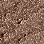 05 - GOLDEN BROWN