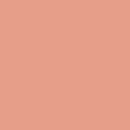 8216 Cinnamon - Travel Size