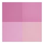 N01 Lilas