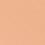 310 - BISQUE WARM 025 - Mini