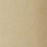 True Match Foundation