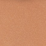 001 - LIGHT NEUTRAL - Mini