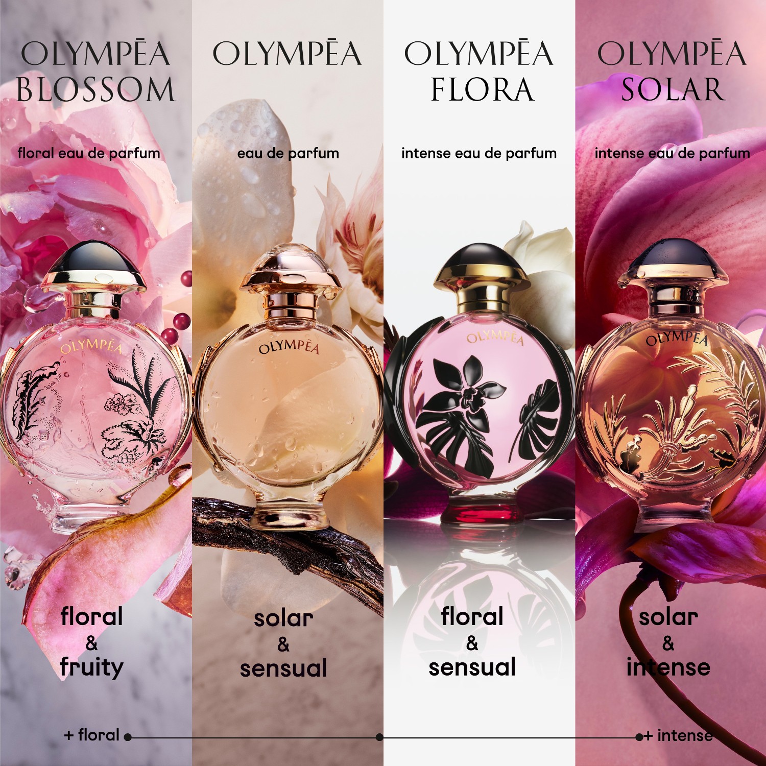 De Parfum Paco Rabanne Olympea Legend Douglas Olympea Legend